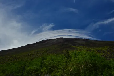 DSC_3644 (Large).JPG